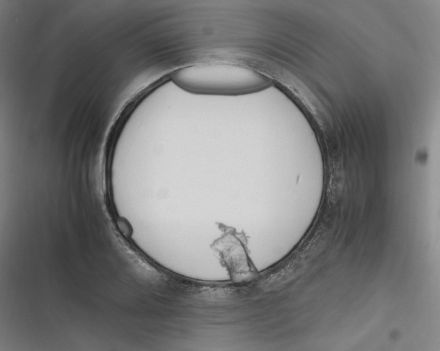 X0000116681080201001111327