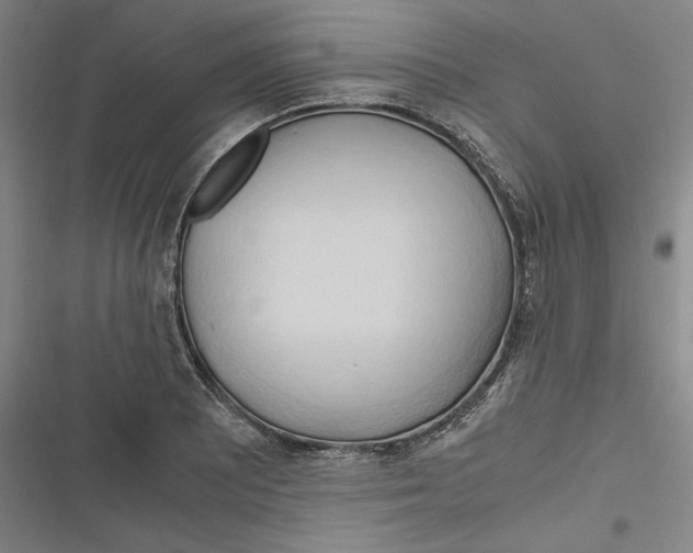 X0000116681081201001111327