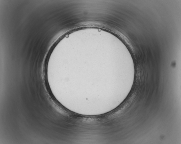 X0000116681082201001111327