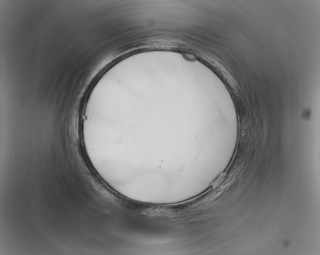 X0000116681083201001111327