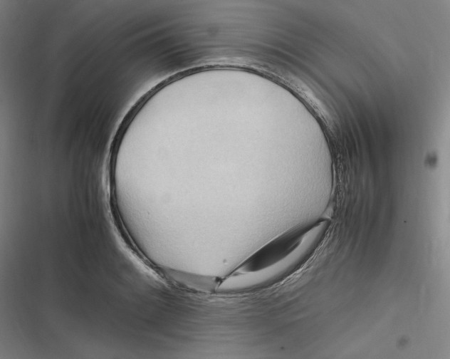 X0000116681084201001111327