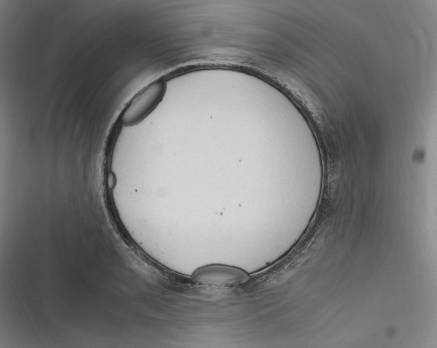 X0000116681085201001111327