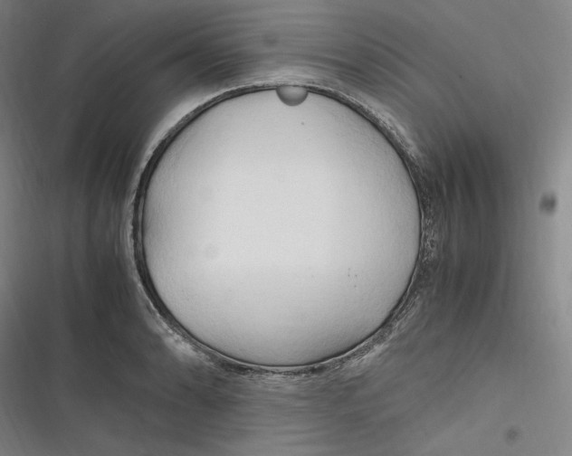 X0000116681086201001111327