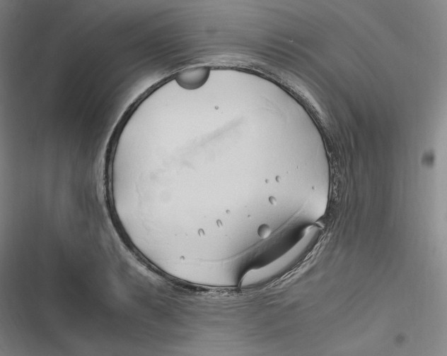 X0000116681087201001111327