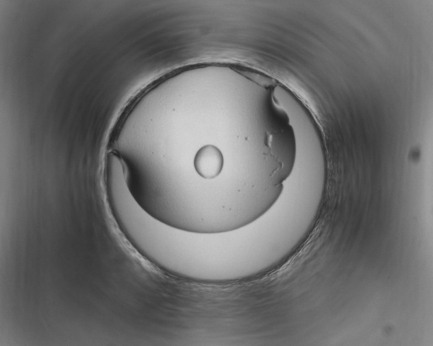 X0000116681088201001111327