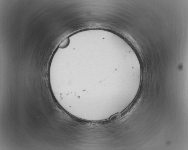 X0000116681089201001111327