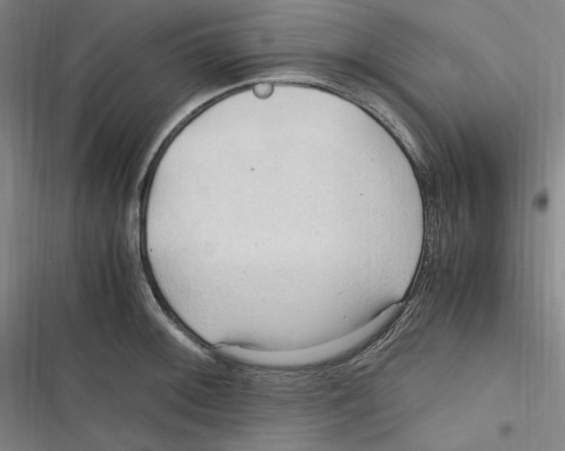 X0000116681092201001111327