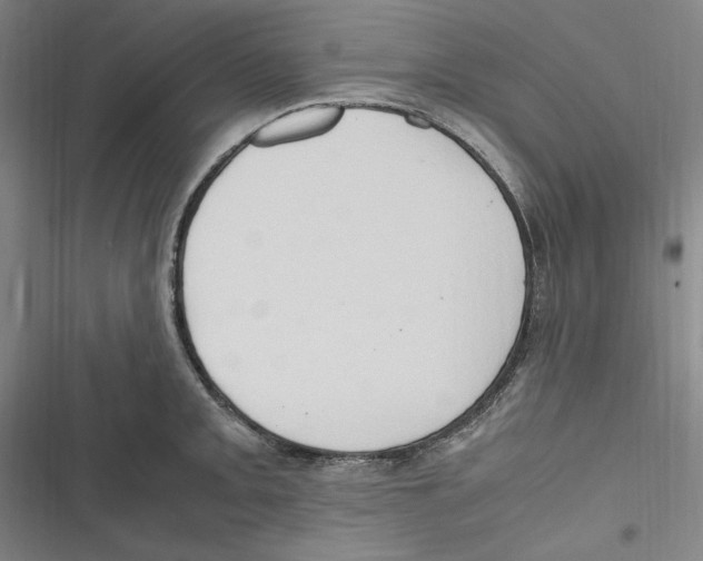 X0000116681093201001111327