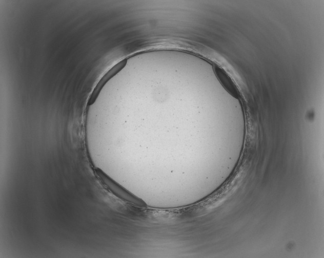 X0000116681097201001111326