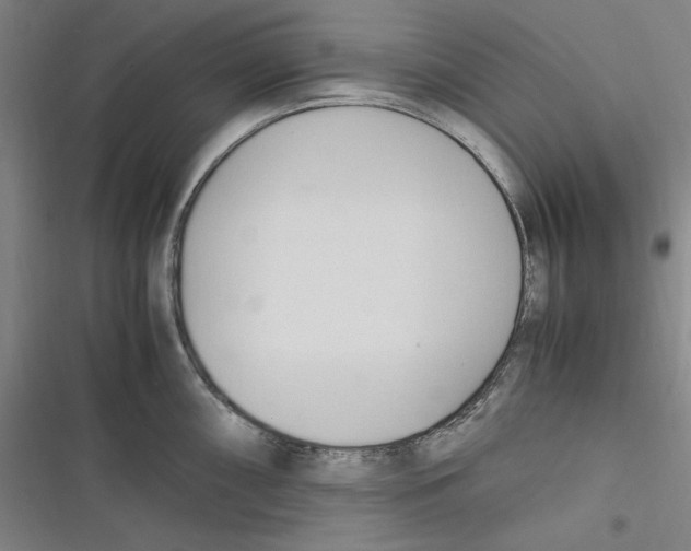 X0000116681098201001111326