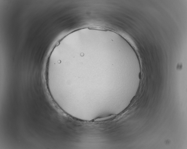 X0000116681104201001111326