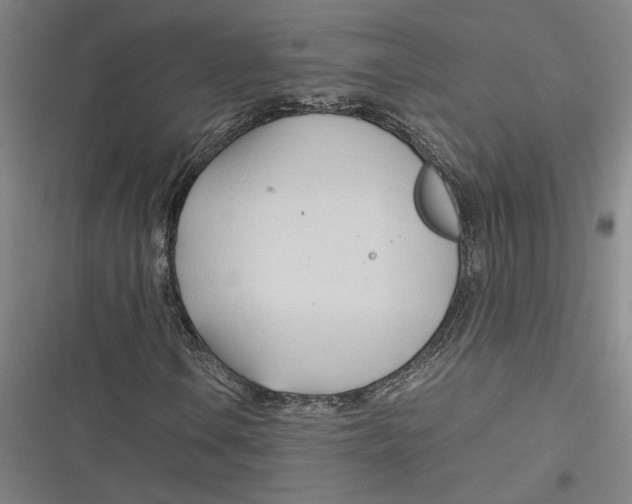 X0000116681106201001111326