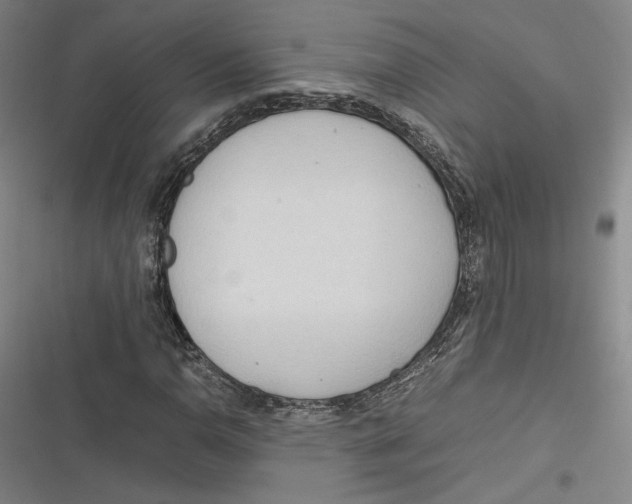 X0000116681110201001111326