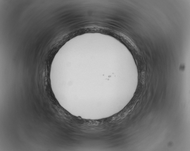 X0000116681111201001111326