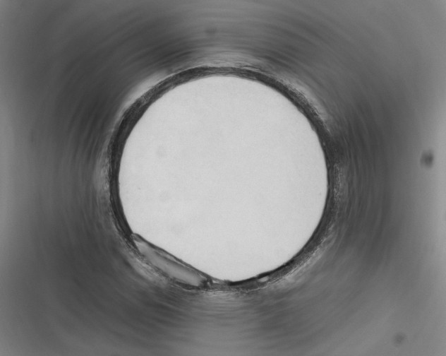 X0000116681114201001111326