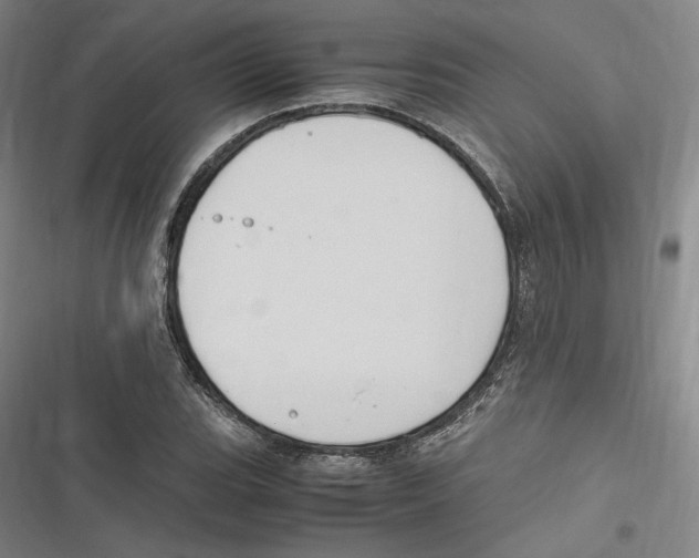 X0000116681119201001111326