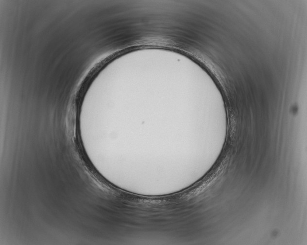 X0000116681123201001111326