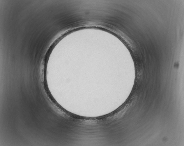 X0000116681126201001111326