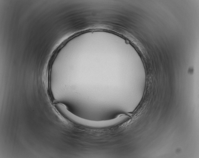 X0000116681127201001111326