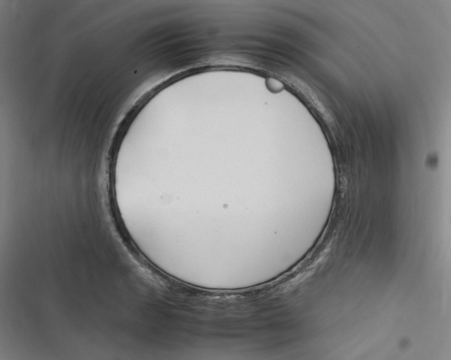 X0000116681133201001111326