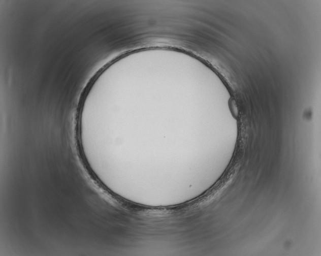 X0000116681134201001111326