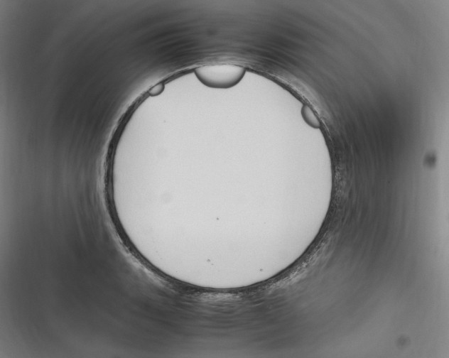 X0000116681135201001111326