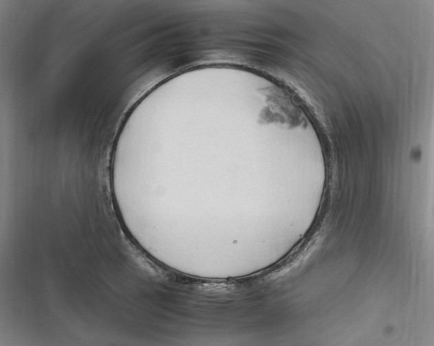 X0000116681137201001111326