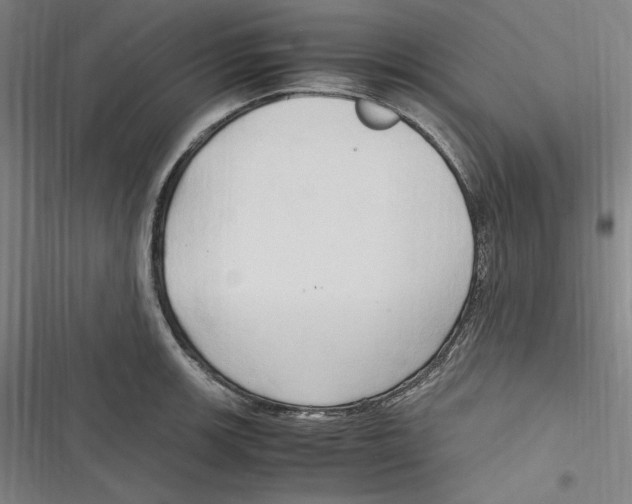 X0000116681139201001111326