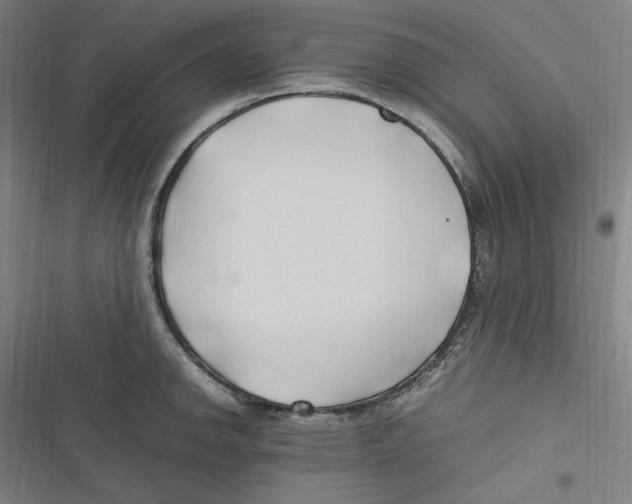 X0000116681142201001111326