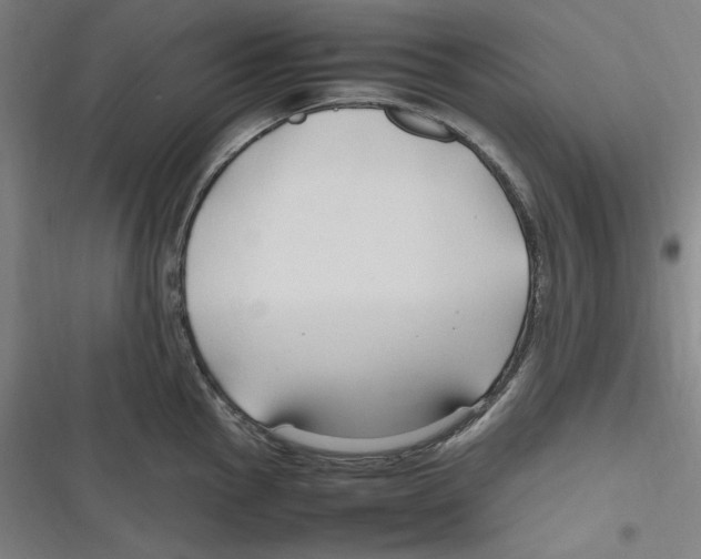 X0000116681145201001111326
