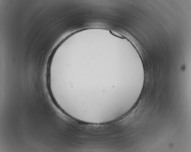 X0000116681147201001111326