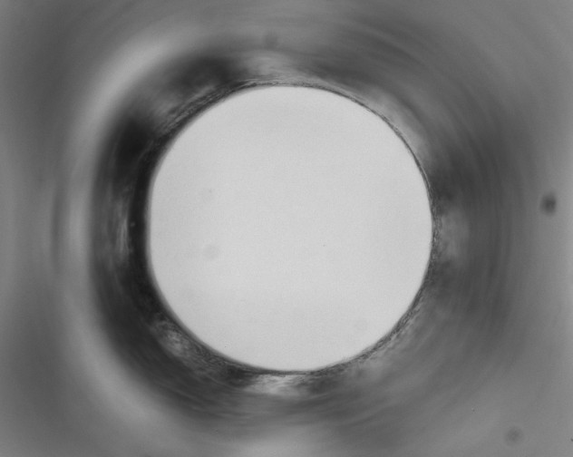 X0000116681150201001111326