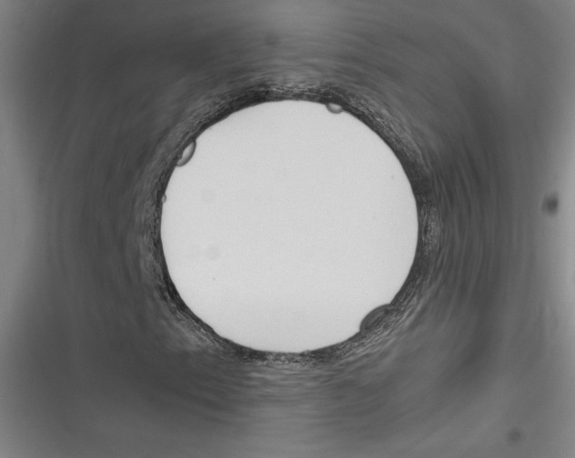 X0000116681153201001111326