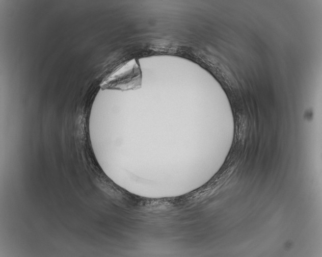 X0000116681154201001111326