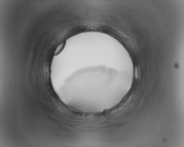 X0000116681155201001111326