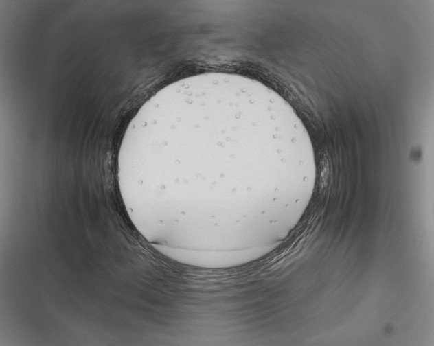 X0000116681156201001111326