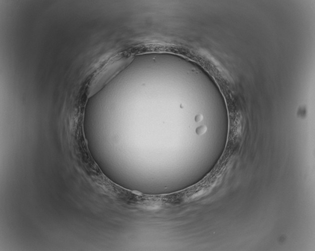 X0000116681157201001111326