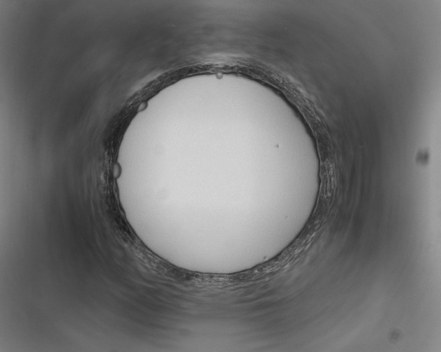 X0000116681158201001111326