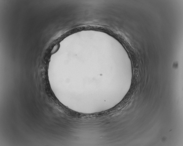 X0000116681159201001111326