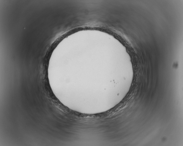 X0000116681160201001111326