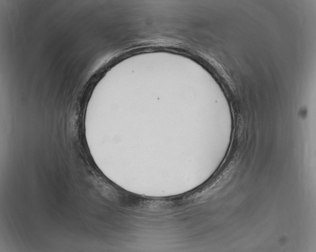 X0000116681163201001111326