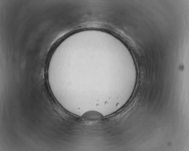 X0000116681166201001111326