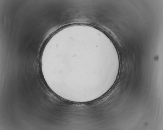 X0000116681168201001111325