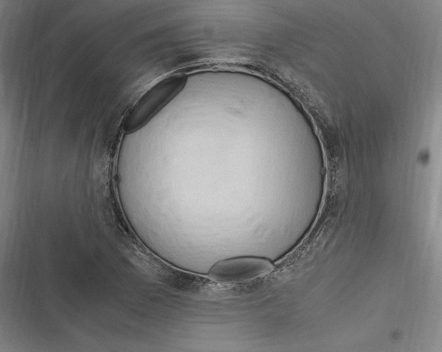 X0000116681169201001111325