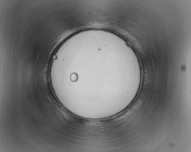 X0000116681170201001111325