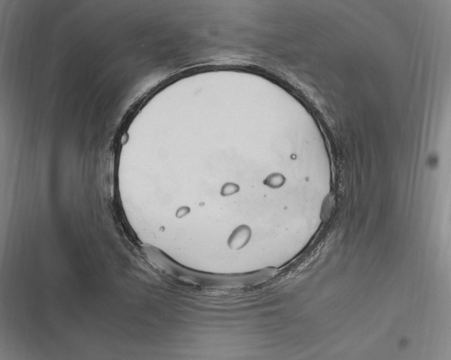 X0000116681171201001111325