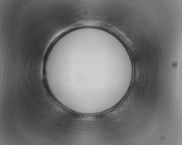 X0000116681174201001111325