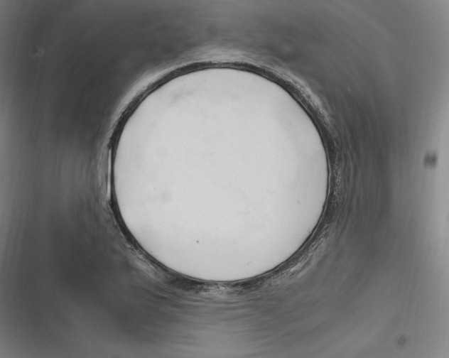 X0000116681175201001111325