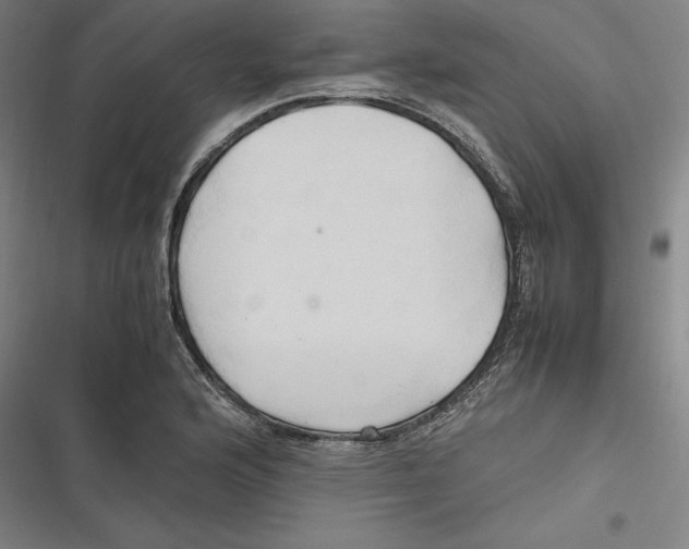 X0000116681176201001111325