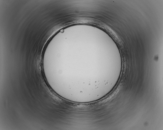 X0000116681178201001111325